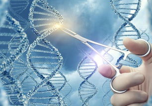 賀建奎最新回應(yīng) 堅信倫理與生物技術(shù)開發(fā)終將同行