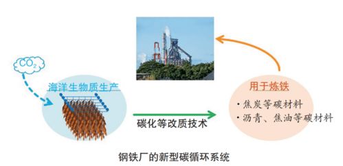 日本制鐵以1.4億日元預(yù)算投入海洋生物質(zhì)煉鐵技術(shù)開發(fā)