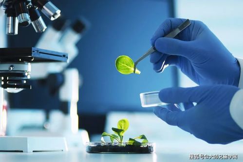 留學馬來西亞 生物技術與生物技術開發，如何區分這對“雙胞胎”專業？