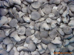 邯鄲市兆輝生物科技 深耕生物技術(shù)開發(fā)，打造多元化高品質(zhì)食用菌產(chǎn)品矩陣